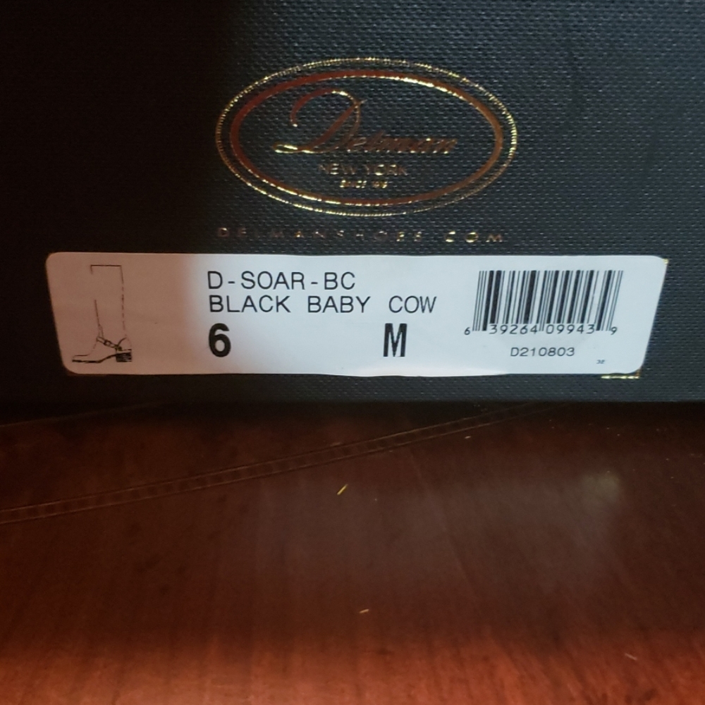 Delman Soar boots